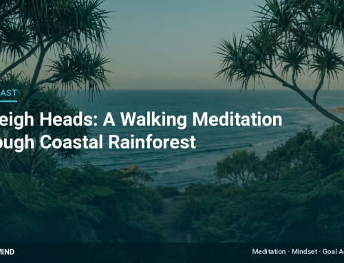Burleigh Heads: A Walking Meditation Through Coastal Rainforest