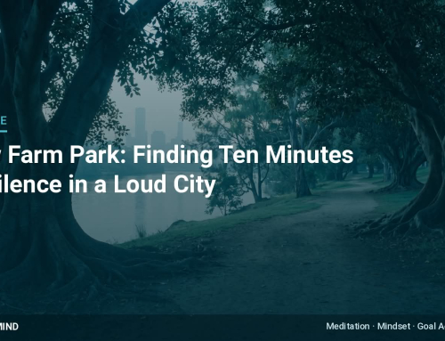 New Farm Park: Finding Ten Minutes of Silence in a Loud City