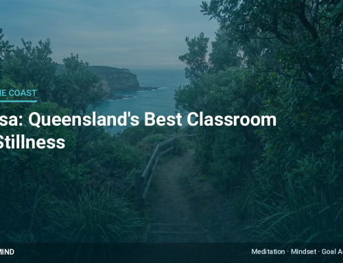 Noosa: Why the National Park Is Queensland’s Best Classroom for Stillness