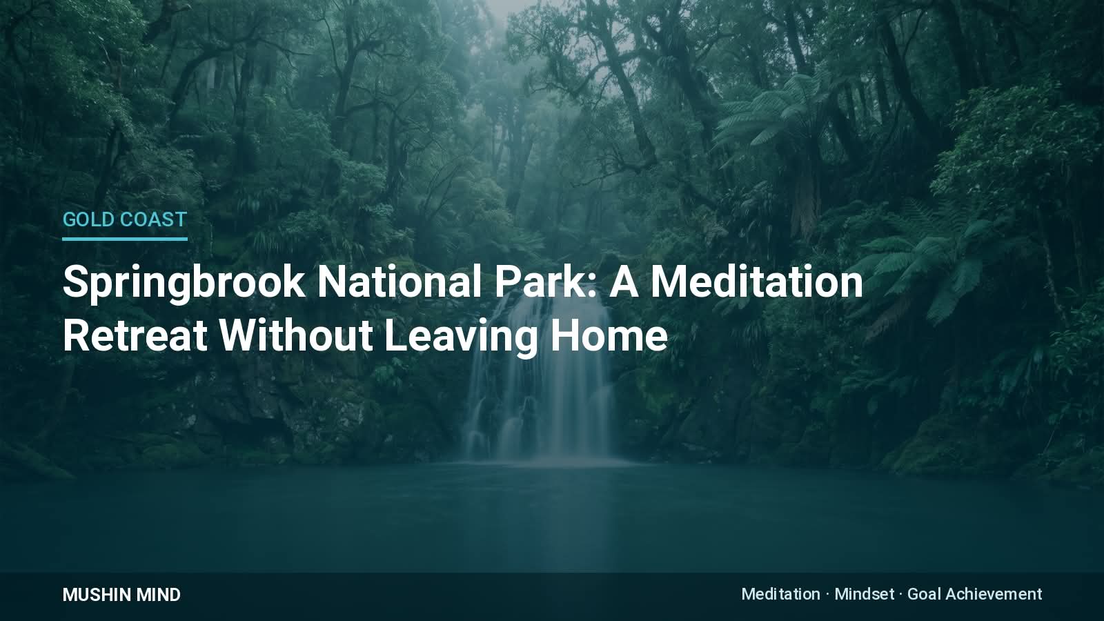 Springbrook National Park: A Meditation Retreat Without Leaving Home